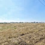 Photo 23 for Central Valley Hwy 99 Gateway