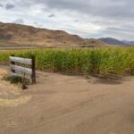 Photo 10 for Silver Valley Farm