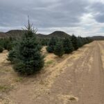 Photo 7 for Silver Valley Farm