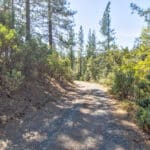 Photo 34 for Old Loggers Lane Retreat