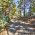 Photo 35 for Old Loggers Lane Retreat