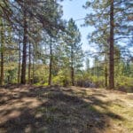 Photo 44 for Old Loggers Lane Retreat