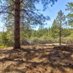 Photo 45 for Old Loggers Lane Retreat