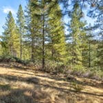 Photo 47 for Old Loggers Lane Retreat