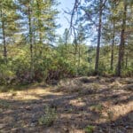 Photo 48 for Old Loggers Lane Retreat