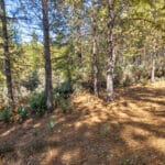 Photo 50 for Old Loggers Lane Retreat