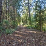 Photo 51 for Old Loggers Lane Retreat