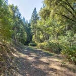 Photo 52 for Old Loggers Lane Retreat