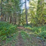 Photo 53 for Old Loggers Lane Retreat