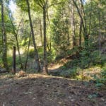 Photo 54 for Old Loggers Lane Retreat