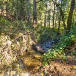 Photo 55 for Old Loggers Lane Retreat