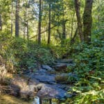 Photo 56 for Old Loggers Lane Retreat