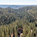 Photo 59 for Old Loggers Lane Retreat