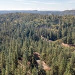 Photo 60 for Old Loggers Lane Retreat