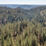 Photo 61 for Old Loggers Lane Retreat