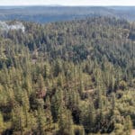 Photo 62 for Old Loggers Lane Retreat