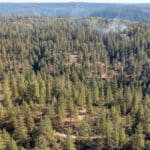 Photo 63 for Old Loggers Lane Retreat