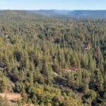 Photo 64 for Old Loggers Lane Retreat