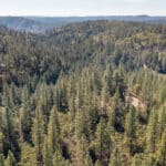 Photo 65 for Old Loggers Lane Retreat