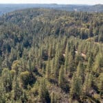 Photo 66 for Old Loggers Lane Retreat