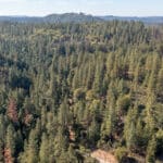 Photo 67 for Old Loggers Lane Retreat