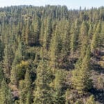 Photo 68 for Old Loggers Lane Retreat