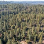 Photo 1 for Old Loggers Lane Acres