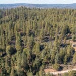 Photo 2 for Old Loggers Lane Acres