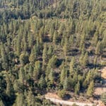 Photo 4 for Old Loggers Lane Acres