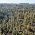 Photo 5 for Old Loggers Lane Acres