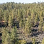 Photo 6 for Old Loggers Lane Acres