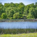 Photo 78 for Indian Springs Ranch