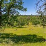 Photo 93 for Indian Springs Ranch