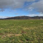 Photo 2 for Reece Ranch