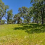 Photo 94 for Indian Springs Ranch