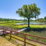 Photo 51 for Indian Springs Ranch