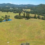 Photo 37 for Gold Rush Bison Ranch