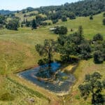 Photo 40 for Gold Rush Bison Ranch