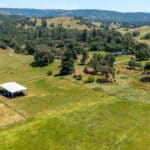 Photo 45 for Gold Rush Bison Ranch