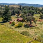 Photo 46 for Gold Rush Bison Ranch