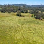 Photo 48 for Gold Rush Bison Ranch