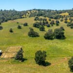 Photo 50 for Gold Rush Bison Ranch