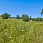 Photo 60 for Gold Rush Bison Ranch