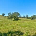 Photo 61 for Gold Rush Bison Ranch