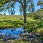 Photo 63 for Gold Rush Bison Ranch