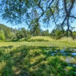 Photo 64 for Gold Rush Bison Ranch