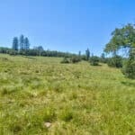 Photo 65 for Gold Rush Bison Ranch