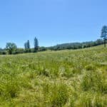 Photo 66 for Gold Rush Bison Ranch