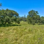 Photo 67 for Gold Rush Bison Ranch