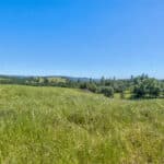 Photo 70 for Gold Rush Bison Ranch